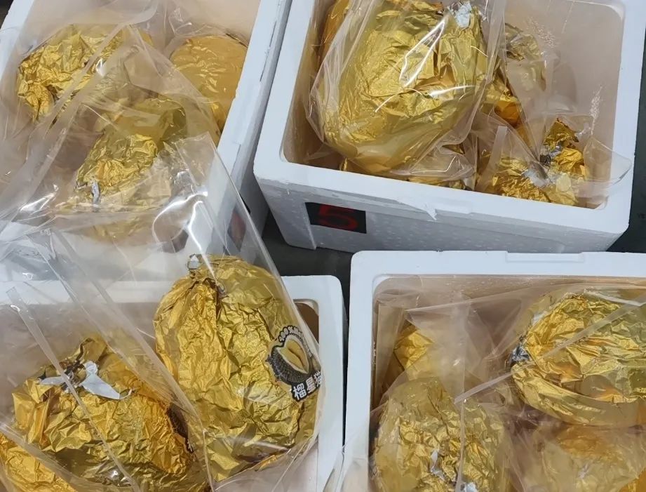 恒温区0702.jpg 恒温区0702.jpg